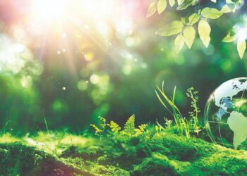 naco green earth shutterstock 2285503199 cmyk