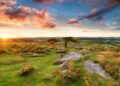 dartmoor 10