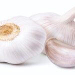 closeup garlic clove and bulb isolated on white background.
