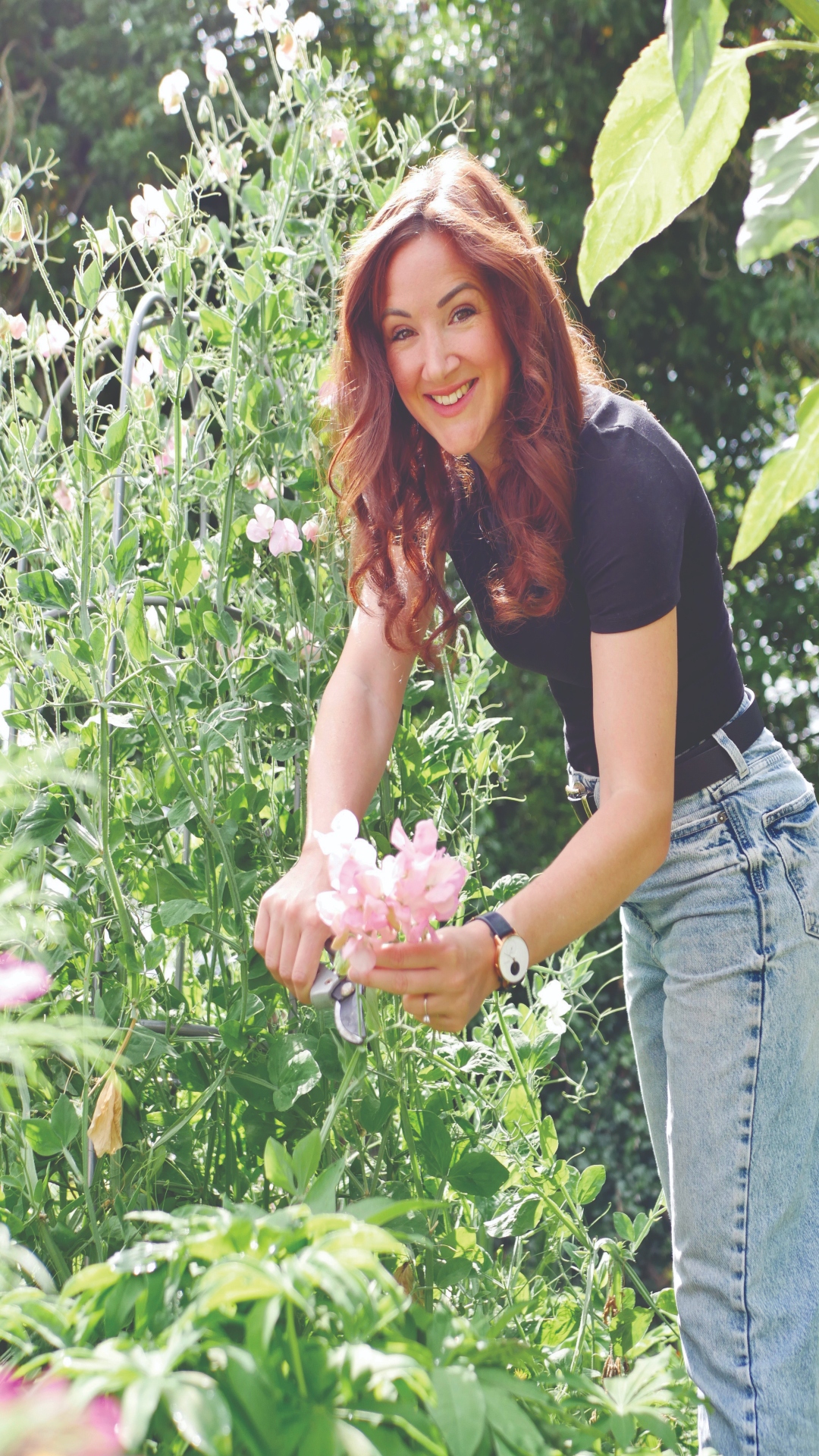 monica pickicn sweet peas cmyk