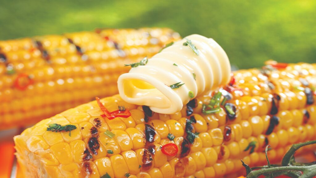 naco corn cob shutterstock 132916442 cmyk