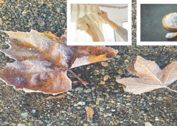 preparing for winter