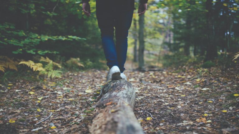 winter wellness (1)
